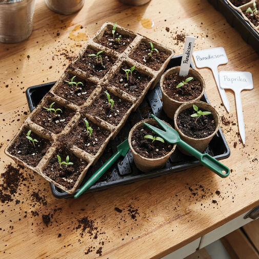 11989 • Palántanevelő készlet - 66 db-os - 35,4 x 23,7 x 6,1 cm