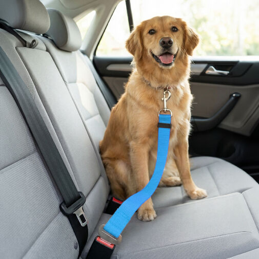 55701 • Autós póráz biztonsági övhöz - 45-70 cm, 3 szín