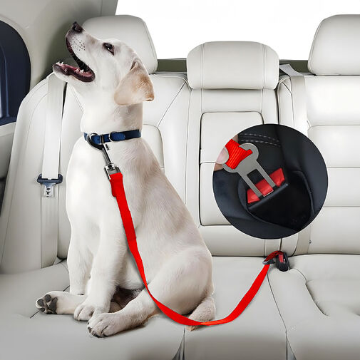 55701 • Autós póráz biztonsági övhöz - 45-70 cm, 3 szín